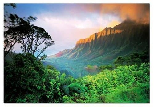 Educa Hawaii, USA (1500 pc Puzzle)