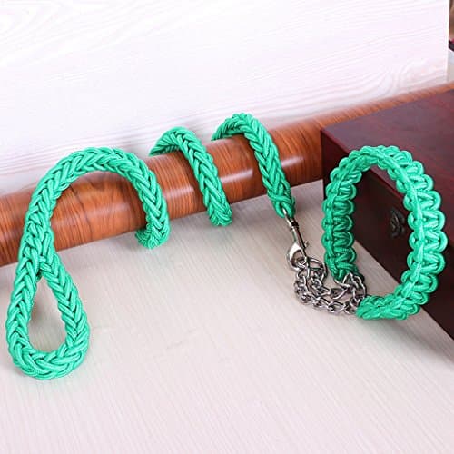 AooToo Pet Adjustable Nylon Dog Rope Slip Training Walking Leash And Pet Collar And Traction Rope Solid Hardware Best for Medium Or Large Dogs(Green, L)