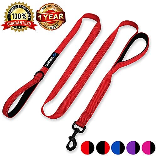 Large-Medium Two-Double Handle Dog-Leash - Heavy Duty 6ft Foot Big Durable Nylon Padded Traffic Handle Leash for Medium to Large Dogs