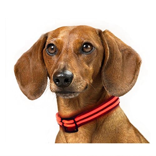 Rechargeable LED Dog Collar, IKET Shiny Double Light Magic Ring to use When Walking Your Dog (M, Red)