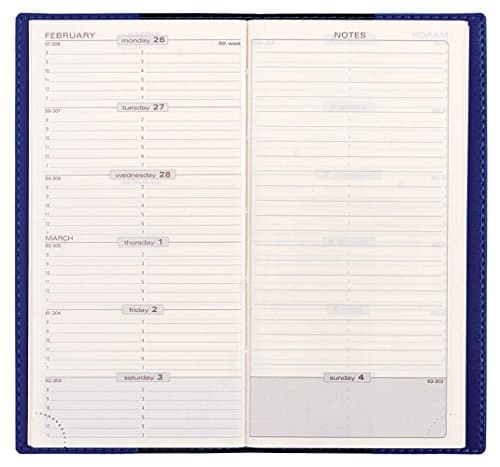 Quo Vadis Refill for Space 17 2019 Planner