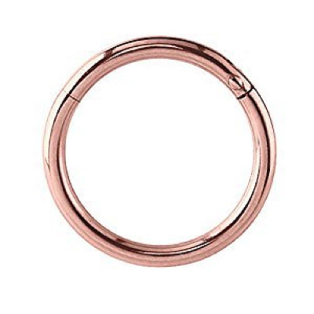 pavlos Hinged Segment Ring,Seamless,Endless Septum Ring,Tragus Piercing Jewelry,Helix,Cartilage,Scaffold,Upper Ear,Segment Ring,Lip Ring,Nipple Ring,Endless Hoop Earring