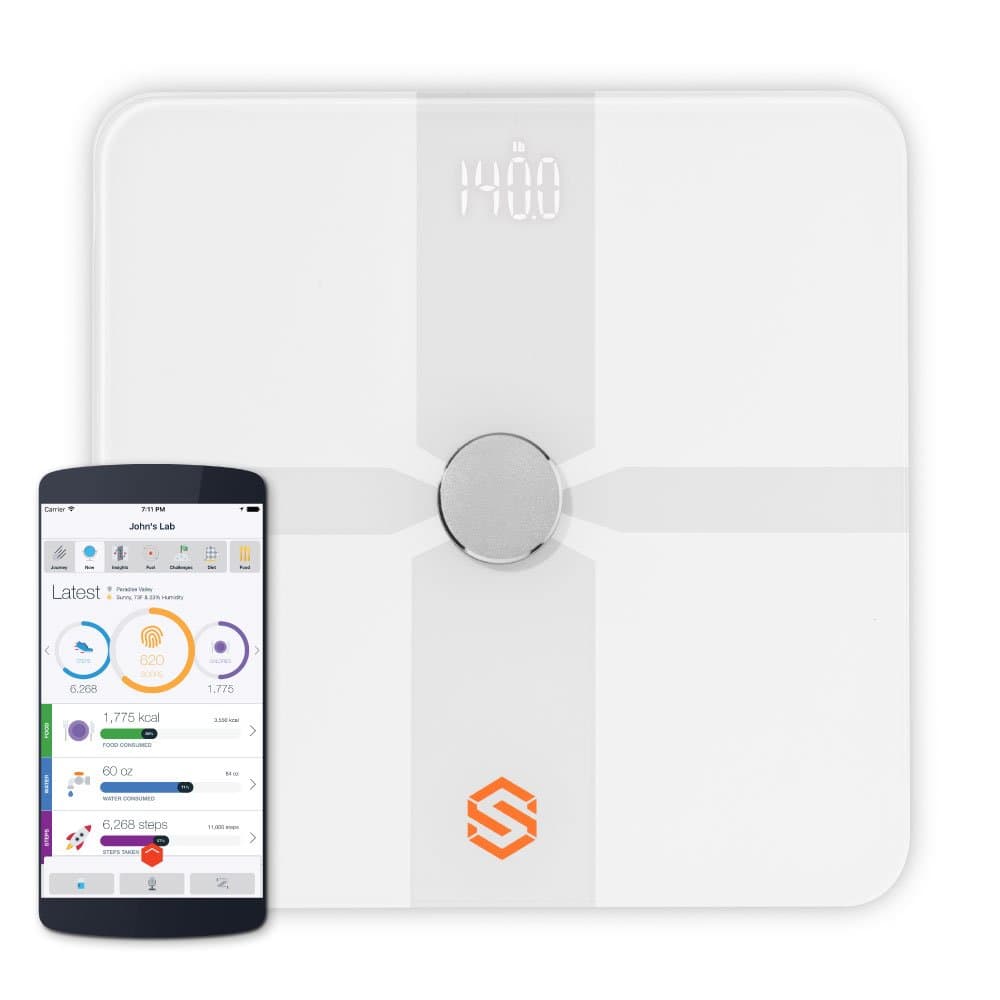 Wireless Digital Bathroom Body Composition Scale with Large Display for Body Weight Body Fat Muscle Mass BMI Bone Mass Water Content etc. iOS and Android App + Free Protein Powder Packs