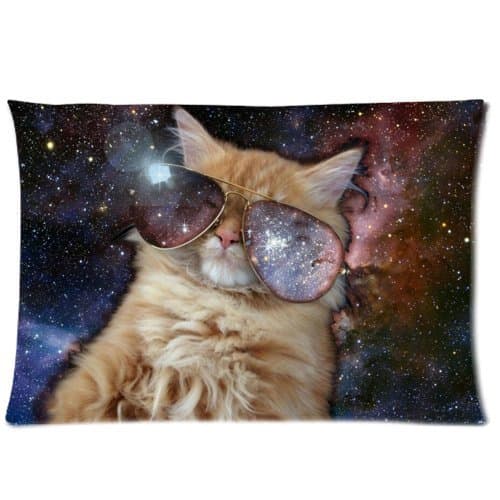 Hot Home Star Galaxy Outer Space Nebula Cool Cat Throw Pillow Case Decorative Cushion Cover Pillowcase 20*30 inches (two sides) Zippered for Sofa