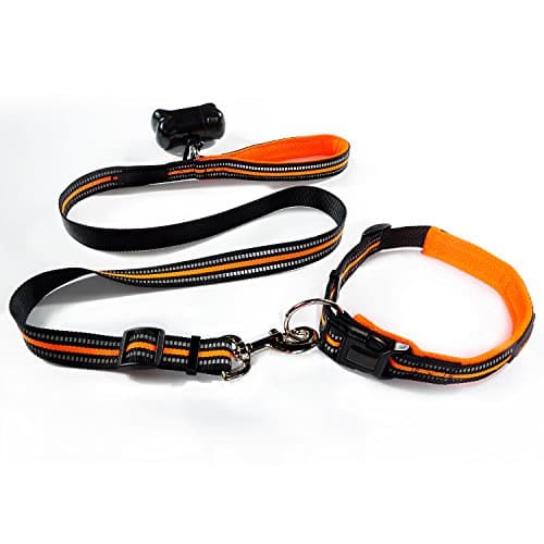 MYOLDSX Orange Adjustable Reflective Dog Leash Collar Set for Medium and Large Dogs Daily Training Walking Running, Free Waste Bag Dispenser &amp; bag