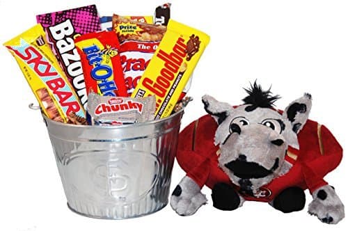 Florida State Snack Bucket Gift Basket - Large