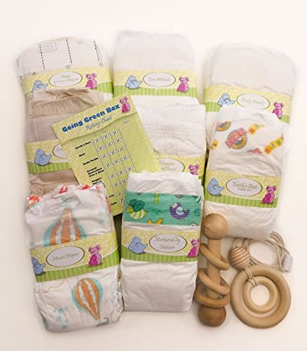 Perfectly Picked Diaper Sampler- Going Green Box - Eco Friendly Disposable Diaper Variety Pack (Extra Green Gift Set: Diaper size 1 with Teething Necklace and Wooden Rattle)