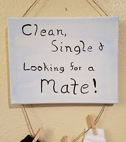 Clean, Single and Looking for a Mate Hand Painted Laundry Room Sign for single socks 8X10