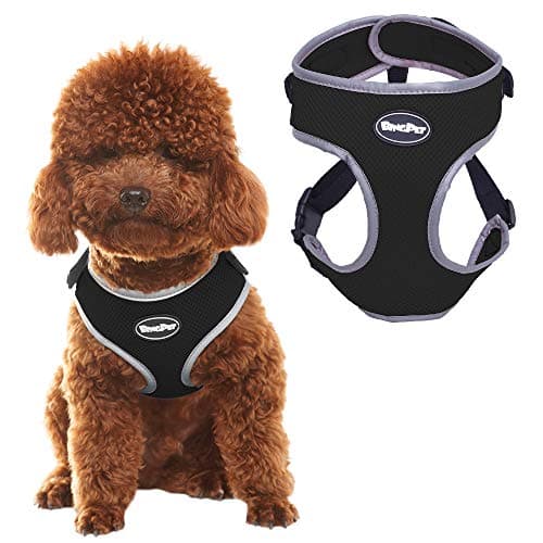 Pawsroad Reflective Dog Vest Harness - Adjustable No Pull Mesh Dog Harness for Medium to Small Dog Puppy Pet