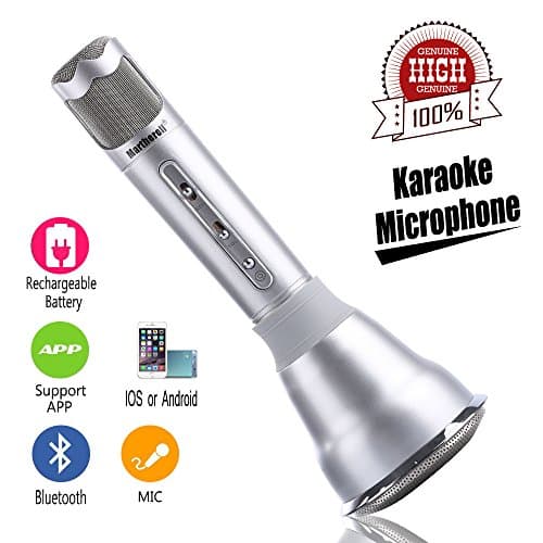 Wireless Karaoke Microphone ,Portable Bluetooth Karaoke Player Speaker for iPhone Android , Home KTV Outdoor Party Muisc Playing Singing Anytime (Silver)