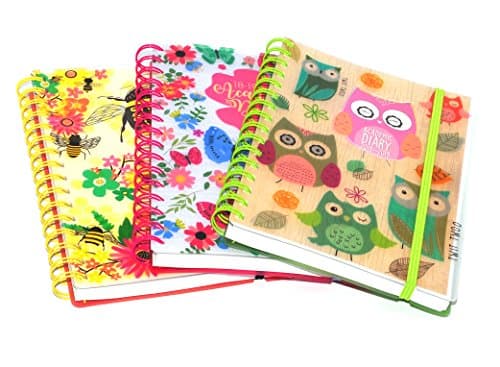 1x 2018 - 2019 A5 Academic Mid Day A Page Diary Design at Random