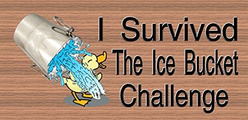 I Survived the Ice Bucket Challenge