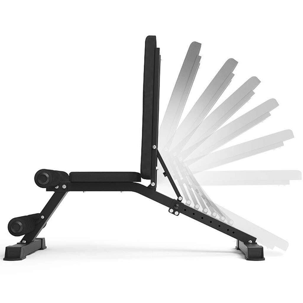 LBWT Fitness Chair - Exercise Bench, Multifunctional Dumbbell Bench Abdominal Device Abdomen Machine Sit-ups Fitness Equipment