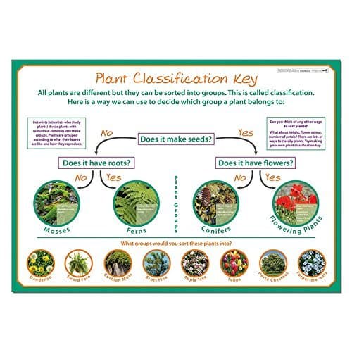 Wildgoose Education SC1111 Classifying Plants Poster
