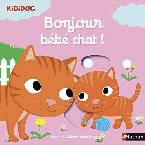 Bonjour Bébé chat ! (1)