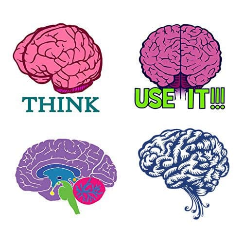 AnatomologyBrain Awareness Week Brain Temporary Tattoo Pack (Education)