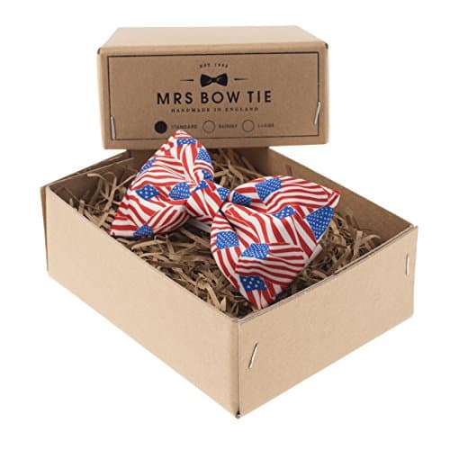 Mini American Flag Bow Tie