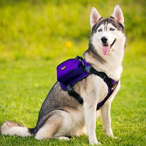 Paw Essentials Adjustable Saddle Bag Dog Backpack Carrier with Harness for Medium large to Large Dogs for Traveling, Hiking and Camping (Purple, L - neck:19.5 - 27.5 inches, chest:27.5 - 38.5 inches)
