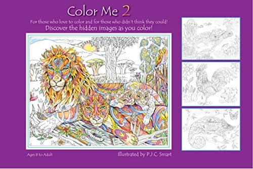 Color Me Your Way 2 (Volume 2)