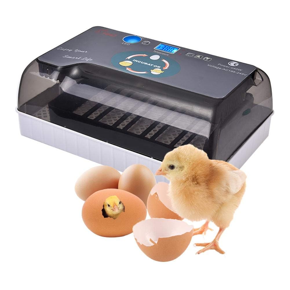 Digital Fully Automatic Egg Incubator Hatching 4-35 Eggs Temperature Control Hatching Equipment Poultry Hatcher with Different Egg Tray for Chickens Ducks Goose Birds