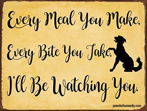 Every Meal You Make, Every Bite You Take, I’ll Be Watching You, 9 x 12 Inch Metal Sign, Funny Dog Signs for Dog Lover, Walker, Sitter, Groomer, Trainer, Doggie Daycare, Decor and Gifts, RK1021HP 9X12