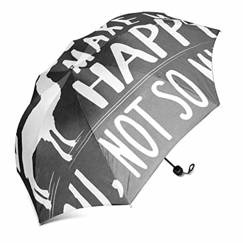 dingshanlong Unique Custom Auto Open Foldable Umbrella Windproof Polyester Travel Umbrella