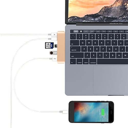 PinPle USB C HUB Dual Type-C Card Reader with 2 USB 3.1 Charging Port & 2 USB 3.0 Port & SD Card Slot & Micro SD Card Slot for MacBook Pro 13" / MacBook Pro 15" (Gold)