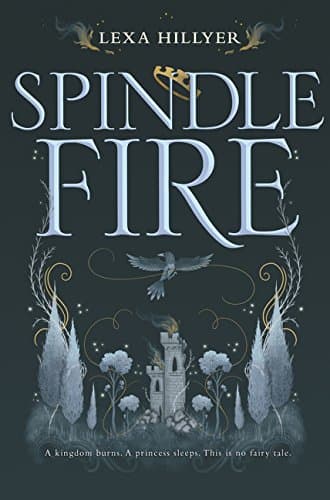 Spindle Fire Hardcover – April 11, 2017