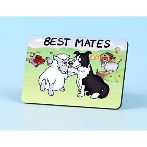 Vanessa Bee Best Mates Fridge Magnet