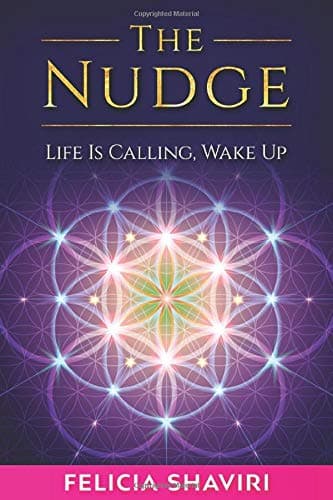 The Nudge: Life Is Calling, Wake Up