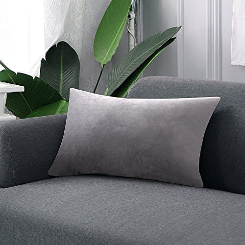 Loom & Mill 2-Pack Throw Pillow Covers, Luxury Velvet Pillow Cases Comfortable Soft Pillow Shams Couch Cushion Cover with Zipper Hidden - (12 x 20 Inch, Grey)