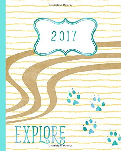 Explore: A Bullet Journal for 2017 Paperback – November 27, 2016