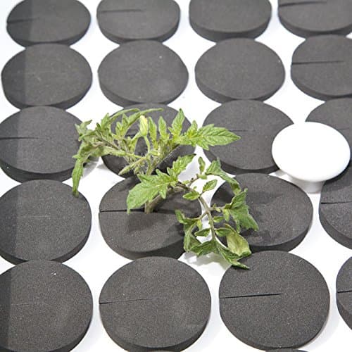 CLONE KING 36 Site White Replacement Lid ;P#O455K5/U 7RK-B251881