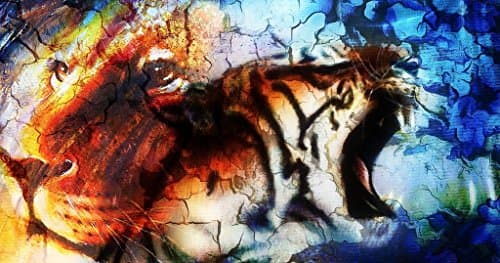 HYAIT Abstract Colorful Lion & Tiger Pattern Polycarbonate (PC) Ultra Slim Hard Case For 11.6-inch Apple MacBook Air A1370 & A1465