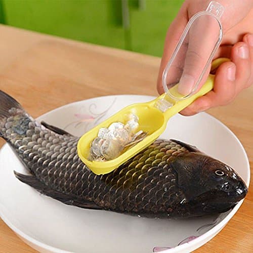 AMAZZANG-Tools New Practical Fish Scaler Clam Opener Scale Scraper Kitchen Accessories