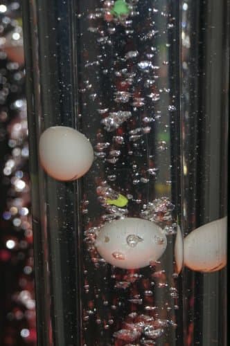 1.2 Meter Ping Pong Ball Effect Insert for Bubble Columns