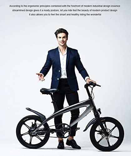 LEHE S1 Series Electric Bicycle