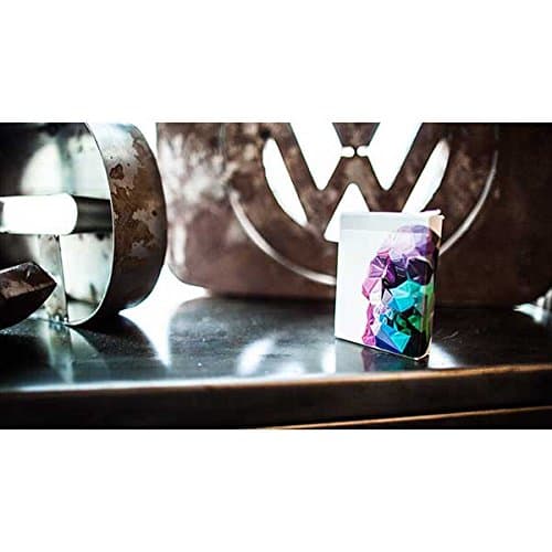 Memento Mori Playing Cards