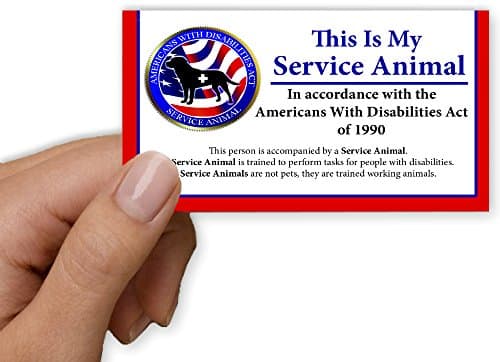Service Dog Info Cards Now Updated -Double Sided Foldable Information Cards That Are Easy To Read - Explain Your ADA Right To Be Accompanied By A Service Animal