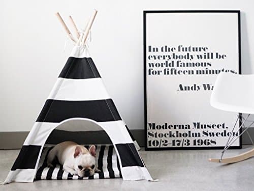 Pipolli Striped Pet Teepee