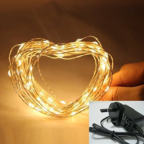 10m 33Ft Individual Silver Wire Modelling Light Leds Starry Lights with Stapelia Flower sliver coating Copper Wire Fairy String Flexible Light for Xmas Party Lighting Festival Holiday Party lighting, include Power Adapter