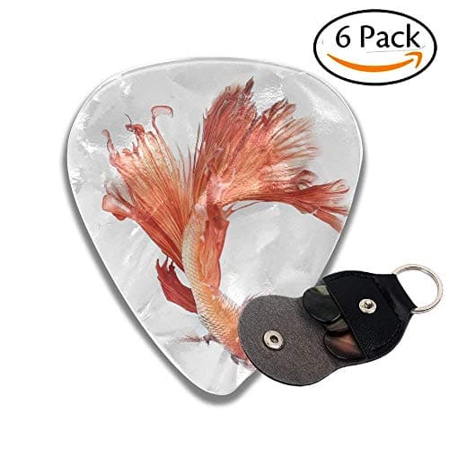 Betta Fish Siamese Fighting Fish Betta Splendens Top View Isolated On White Background Stylish Celluloid Guitar Picks Plectrums For Guitar Bass .6 Pack 46mm