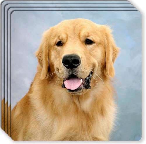 Golden Retriever Rubber Coaster Set