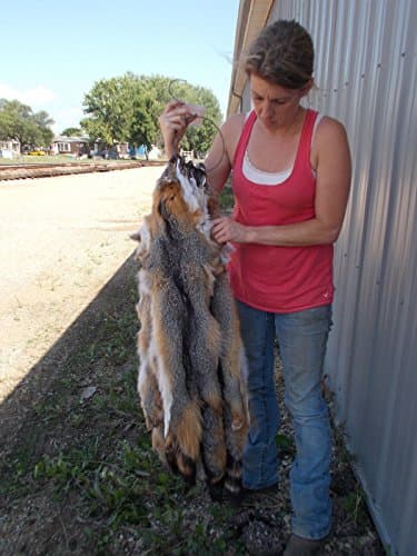 Tanned Grey Fox Pelt