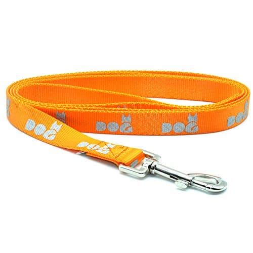 Enthun Basic Nylon Dog Leash with Water Repellent and 3M Reflective Pattern, 4ft and 5 ft Long (Large, Orange)