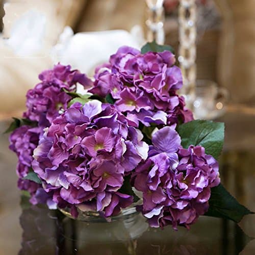 Single Beam-style Simulation Of Hydrangea/5 Autumn Hydrangea-C