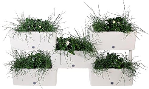 BRICK STACK-N-CONNECT RECTANGULAR PLANTER By Bama with Easy Irrigation System, 5-Piece Set, Ideal For Creating Decorative Vertical Gardens, Privacy Dividers And Flower Walls, 23x9x10 Inches (Cream)