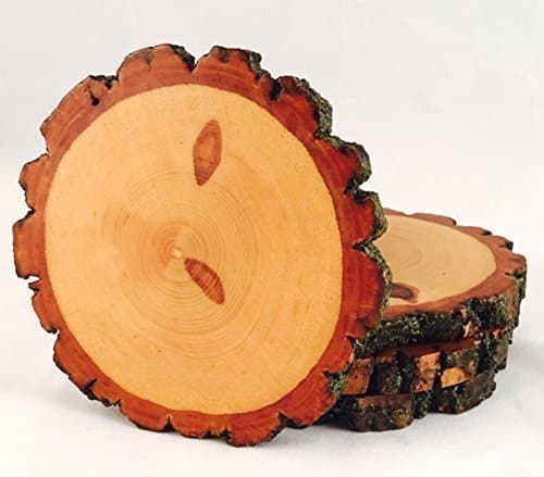 Natural Tree Wood Coasters with Bark (4-Pack or 6-Pack)