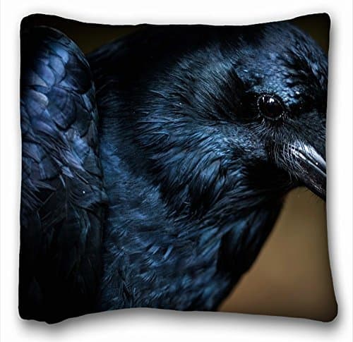 Decorative Square Throw Pillow Case Animals bird crow s eye 18"*18" Two Side