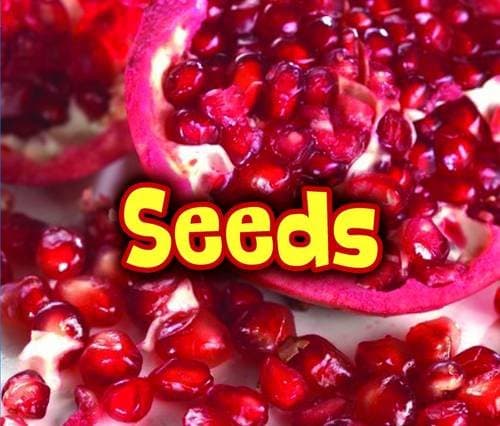 All About Seeds (All About Plants)